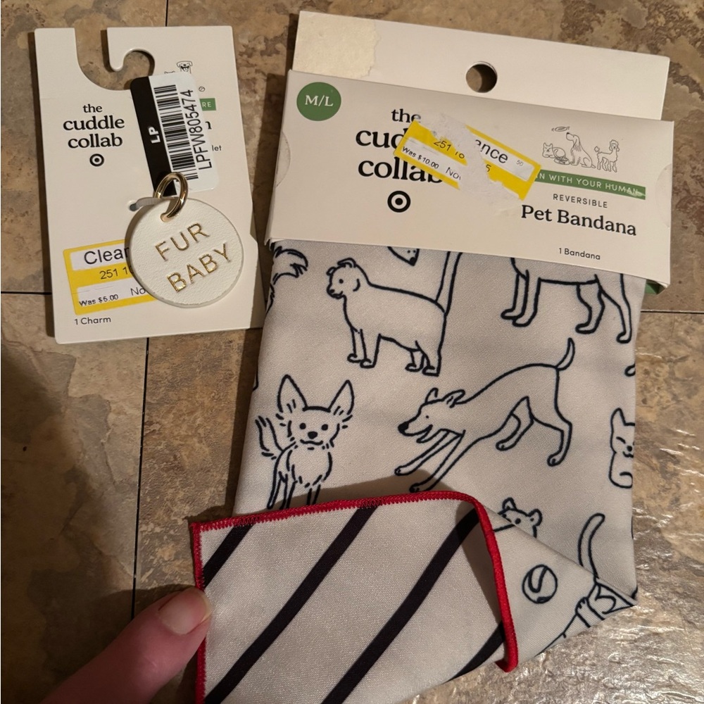 Pet bandana and collar charm